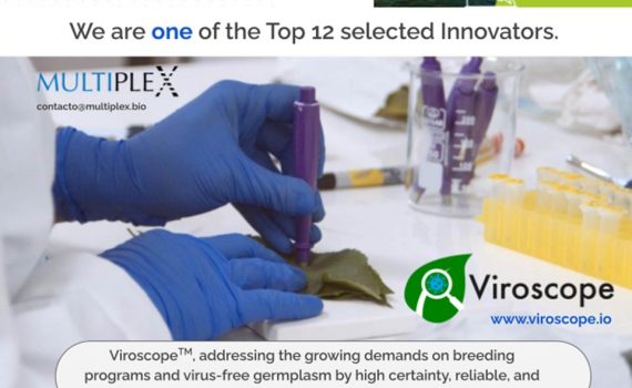 Multiplex entre los 12 finalistas del Euroseeds 2024 InnovActionStage: Innovación de vanguardia en diagnóstico fitosanitario para la comercialización de material vegetal libre de patógenos virales.