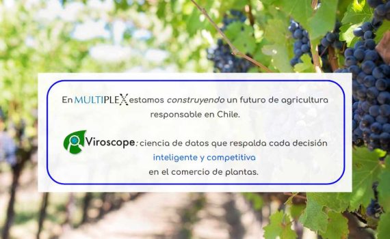 Multiplex y Viroscope, aseguramos material vegetal libre de virus y viroides