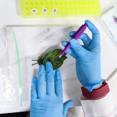 Bacterias no cultivables y fastidiosas